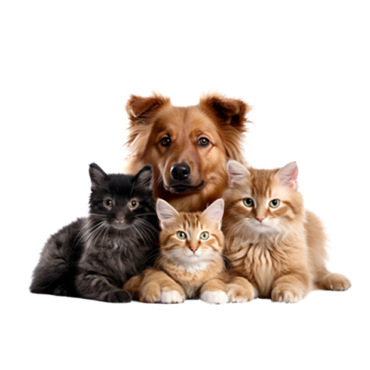 Contact pets
